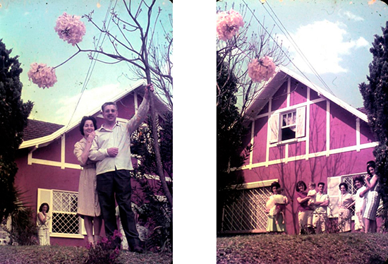 Luiz Carlos Pereira Tourinho com a esposa Sylvia, filhos e netos no jardim da residência construída em estilo germânico no bairro do Pilarzinho em Curitiba (1964).